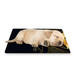 Geometric Eye of Providence Print Pet Cooling Mat Cover