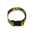 Geometric Rainbow Pattern Print Dog Collar