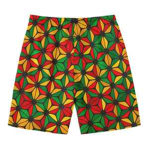 Geometric Reggae Pattern Print Men's Swim Trunks