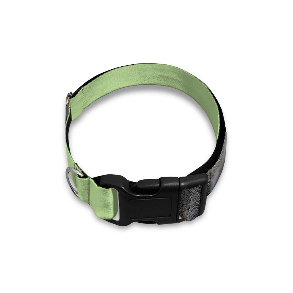 German Shepherd Dog Portrait Print Dog Collar