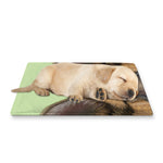 German Shepherd Dog Portrait Print Pet Cooling Mat Cover