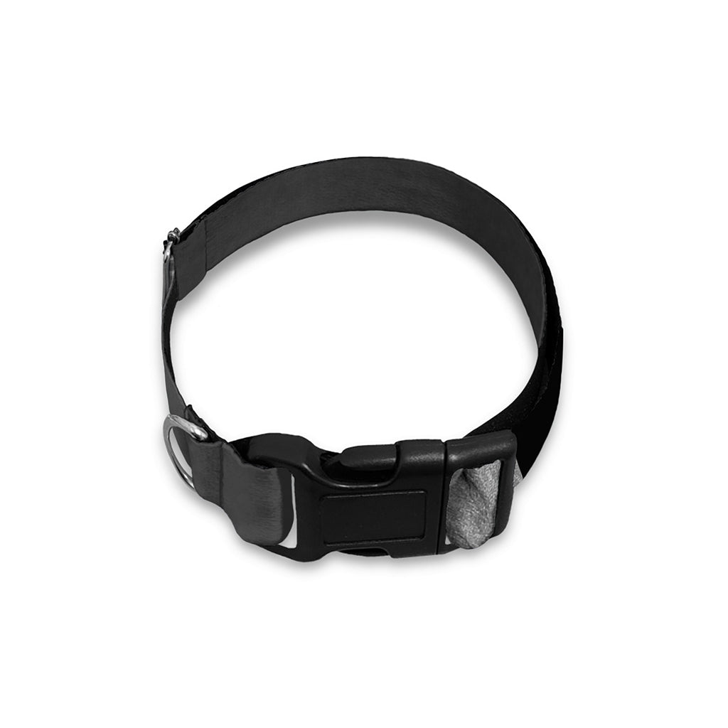 Ghost In The Darkness 3D Print Dog Collar