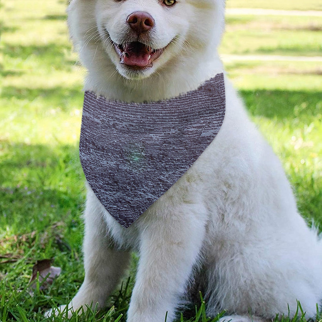 Giza Pyramid Print Over The Collar Dog Bandana