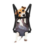 Giza Pyramid Print Pet Carrier Backpack