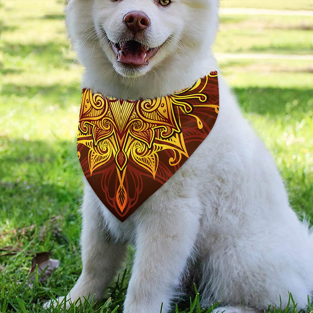 Gold All Seeing Eye Print Over The Collar Dog Bandana