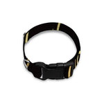 Gold And Black Aquarius Sign Print Dog Collar