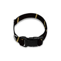 Gold And Black Cancer Sign Print Dog Collar