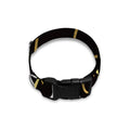 Gold And Black Leo Sign Print Dog Collar