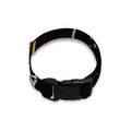 Gold And Black Sagittarius Sign Print Dog Collar