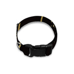 Gold And Black Sagittarius Sign Print Dog Collar