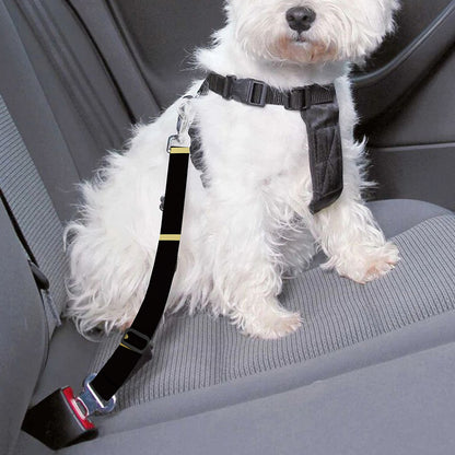 Gold And Black Sagittarius Sign Print Dog Seat Belt