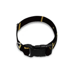 Gold And Black Scorpio Sign Print Dog Collar