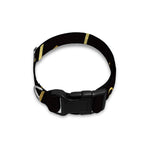 Gold And Black Taurus Sign Print Dog Collar