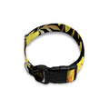 Gold And Yellow Floral Print Dog Collar