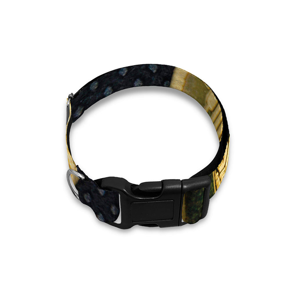 Gold Bitcoin Symbol Print Dog Collar