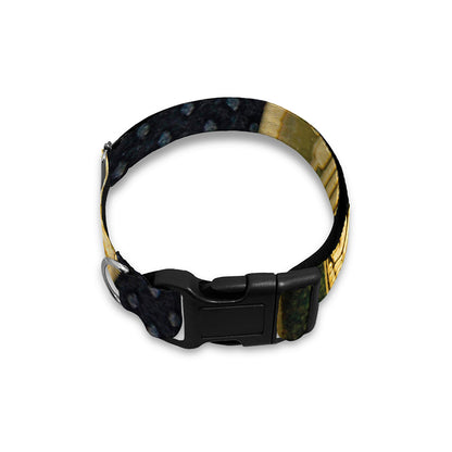 Gold Bitcoin Symbol Print Dog Collar