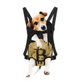 Gold Bitcoin Symbol Print Pet Carrier Backpack