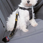 Gold Cannabis Leaf Pattern Print Dog Seat Belt