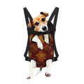 Gold Chinese Dragon Pattern Print Pet Carrier Backpack