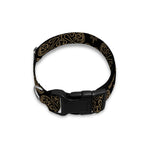 Gold Clover St. Patrick's Day Print Dog Collar