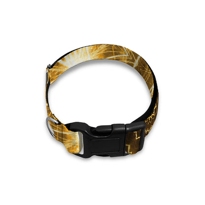 Gold Lights Kaleidoscope Print Dog Collar