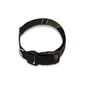 Gold Moon And Sun Print Dog Collar