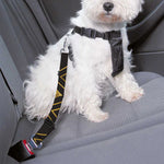 Gold Playing Card Suits Pattern Print Dog Seat Belt