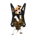 Gold Viking God Odin And Crow Print Pet Carrier Backpack