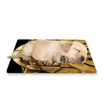 Gold Viking Norse God Odin Print Pet Cooling Mat Cover