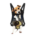 Gold Yin Yang Mandala Print Pet Carrier Backpack