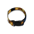 Golden Pisces Zodiac Sign Print Dog Collar