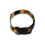 Golden Pisces Zodiac Sign Print Dog Collar