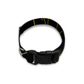Golden Reiki Print Dog Collar
