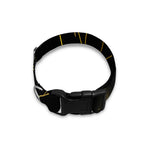 Golden Reiki Print Dog Collar
