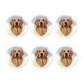 Golden Retriever Portrait Print Coaster Set