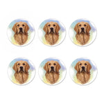 Golden Retriever Portrait Print Coaster Set