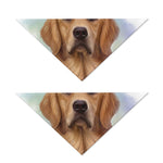 Golden Retriever Portrait Print Dog Bandana