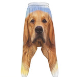 Golden Retriever Portrait Print Hammer Pants