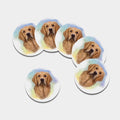 Golden Retriever Portrait Print Leather Coaster Set