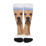 Golden Retriever Portrait Print Long Socks