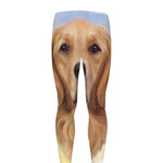 Golden Retriever Portrait Print Men's leggings