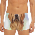 Golden Retriever Portrait Print Men's Short Boxer Briefs
