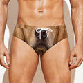 Golden Retriever Portrait Print Men's Swim Briefs