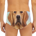 Golden Retriever Portrait Print Men's Triangle Swim Briefs