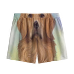 Golden Retriever Portrait Print Mesh Shorts