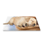 Golden Retriever Portrait Print Pet Cooling Mat Cover