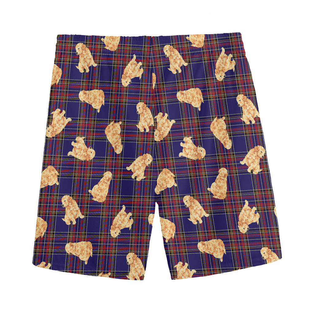 Golden Retriever Tartan Pattern Print Men's Sports Shorts