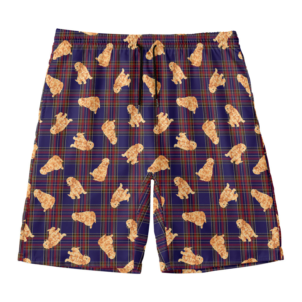 Golden Retriever Tartan Pattern Print Men's Swim Trunks