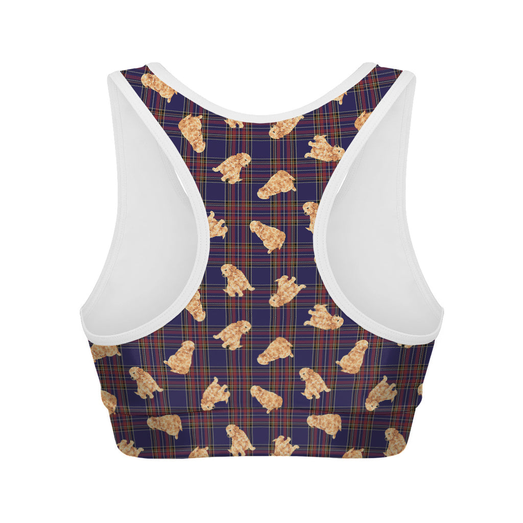 Golden Retriever Tartan Pattern Print Women's Sports Bra