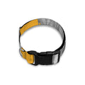 Golden Retriever With Glasses Print Dog Collar